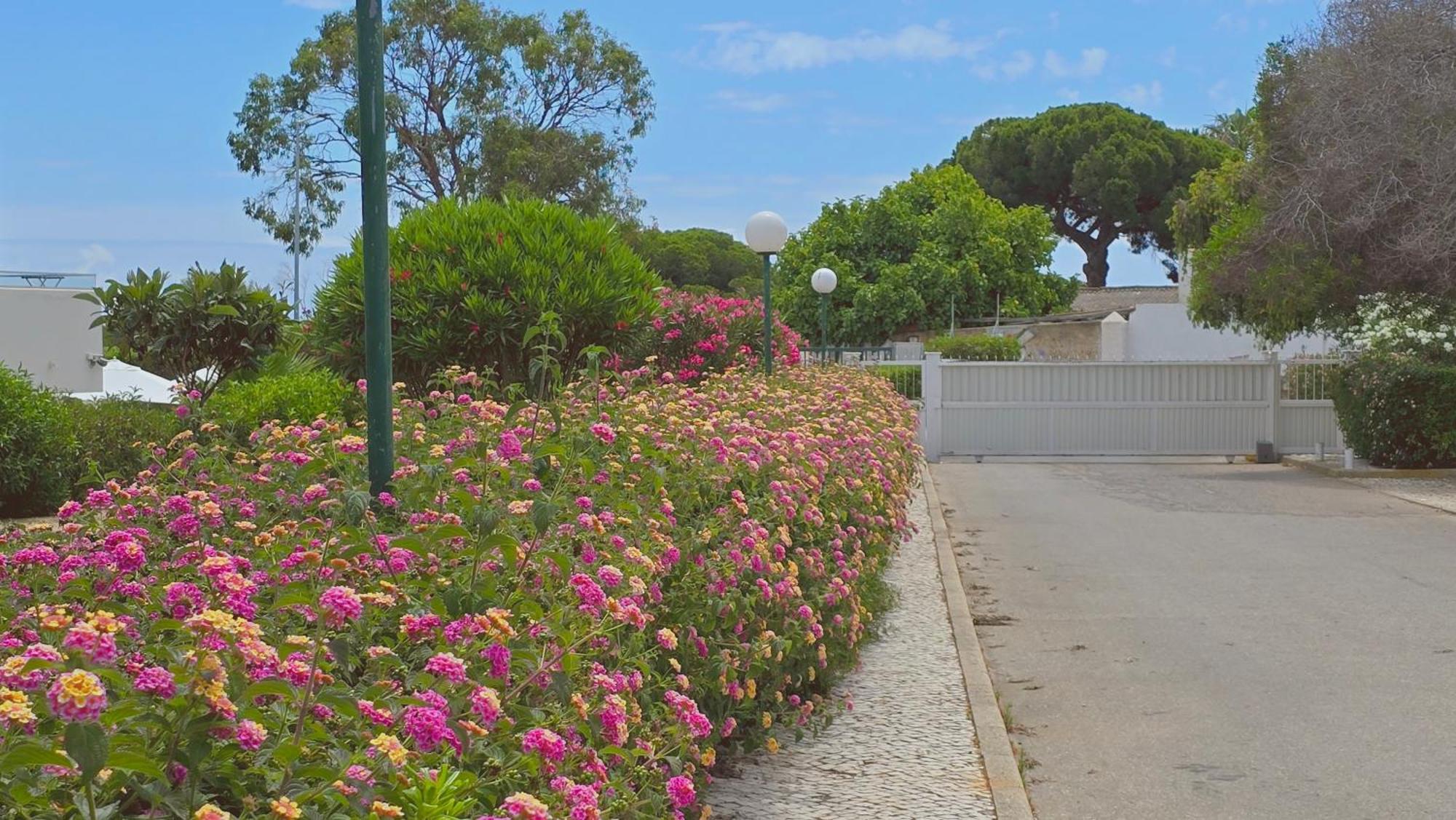 Praia Eulália with pool&5 minutes from the beach Albufeira Esterno foto